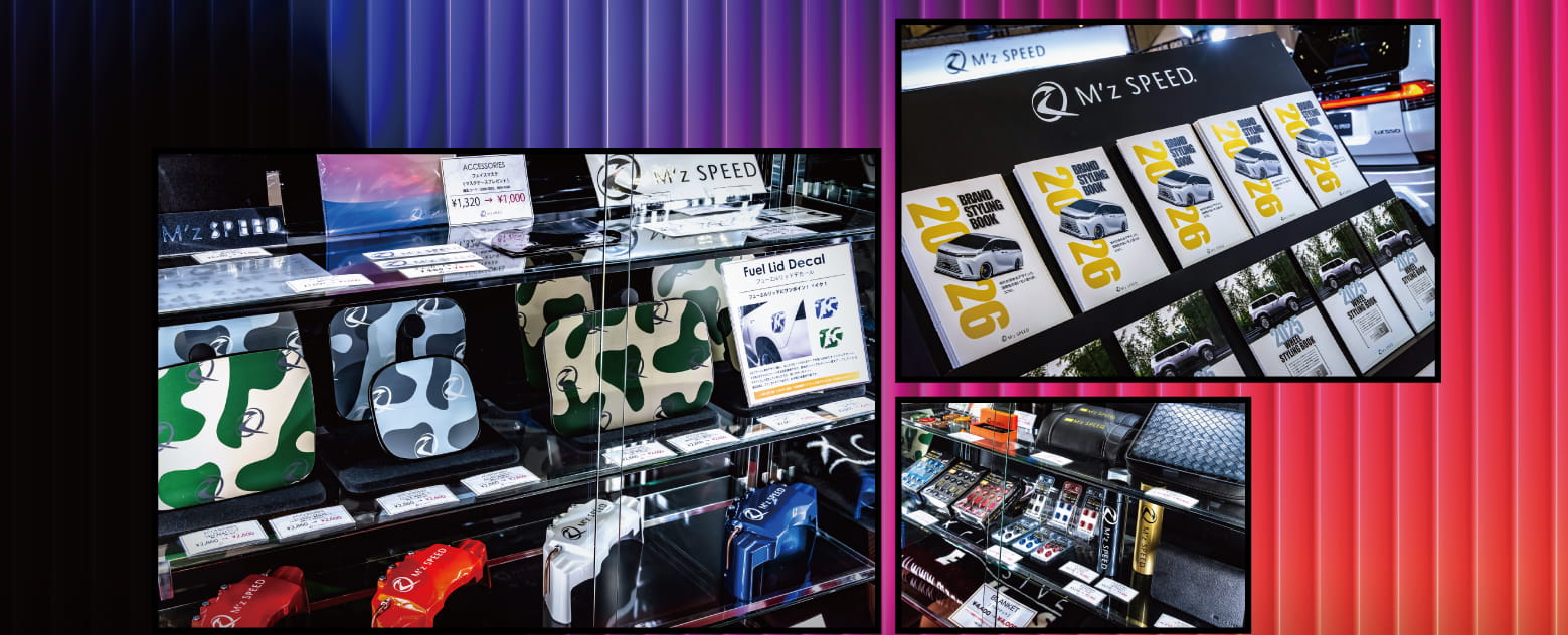 Accessory items image