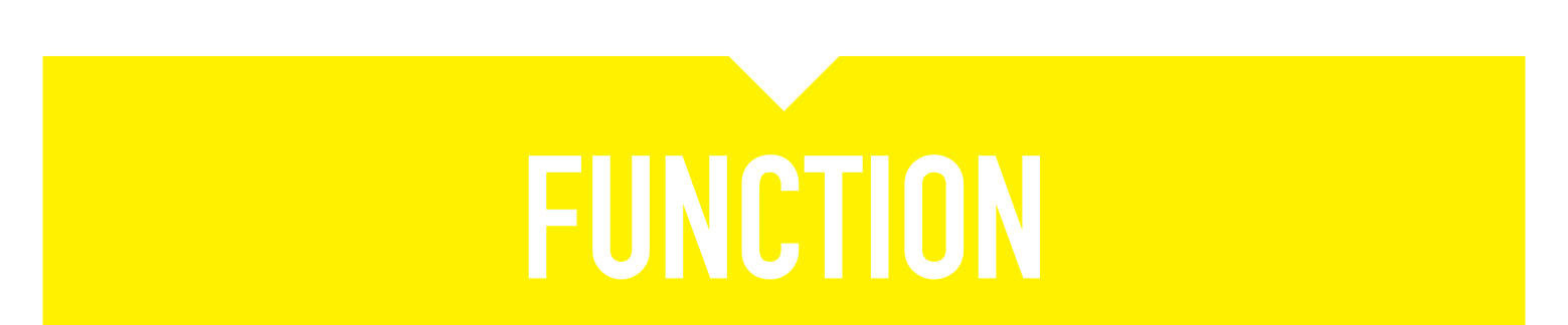 FUNCTION