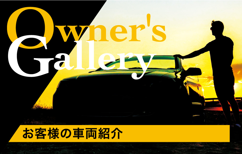 Owner's Gallery'