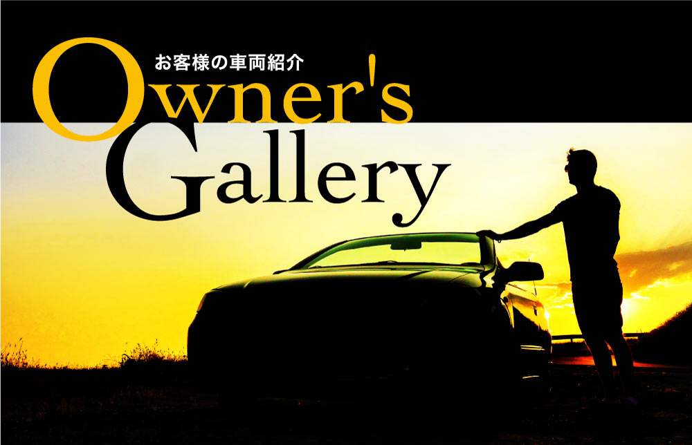 Owner's Gallery'