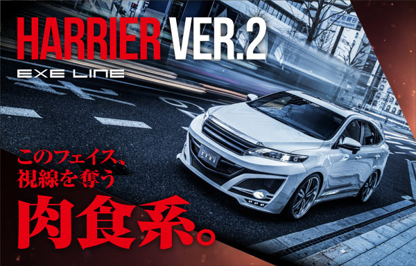 HARRIER VER.2 EXE LINE このフェイス、視線を奪う肉食系。