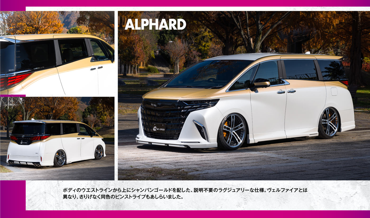 ALPHARD ボディのウエストラインから上にシャンパンゴールドを配した、説明不要のラグジュアリーな仕様。ヴェルファイアとは異なり、さりげなく同色のピンストライプもあしらいました。