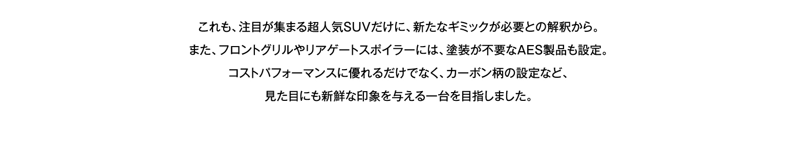 これも、注目が集まる超人気SUVだけに、新たなギミックが必要との解釈から、また、フロントグリルやリアゲートスポイラーには、塗装が不要なAES製品も設定。コストパフォーマンスに優れるだけでなく、カーボン柄の設定など、見た目にも新鮮な印象を与える一台を目指しました。