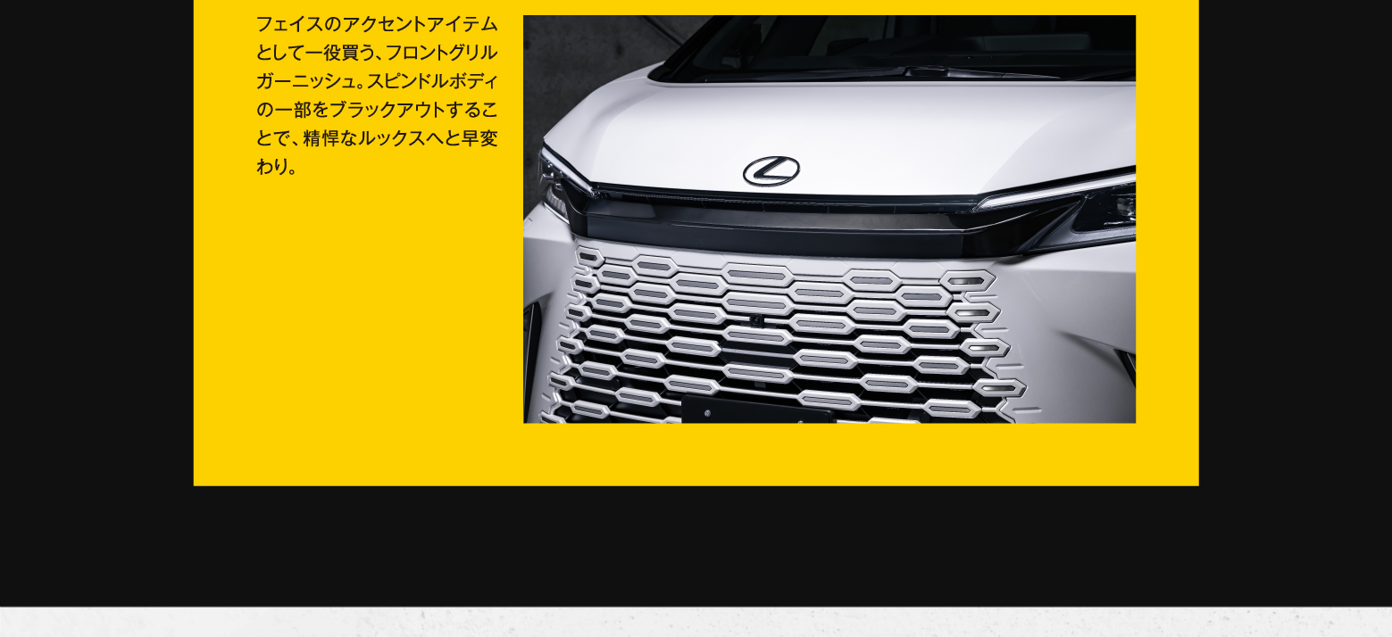 Front Grille Garnish 印象をガラリとチェンジできるスグレモノ！