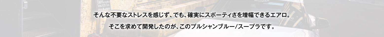 そんな不要なストレスを感じず、でも、確実にスポーティさを増幅できるエアロ。そこを求めて開発したのが、このプルシャンブルー/スープラです。