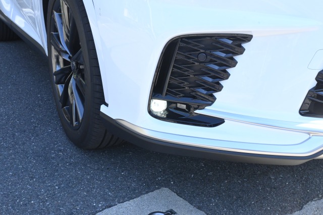 レクサス:RX/ガソリン