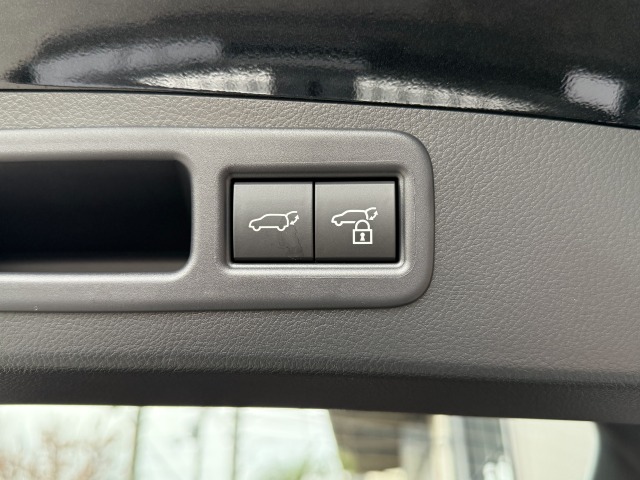 レクサス:RX/ガソリン