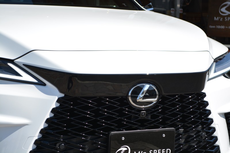 レクサス:RX/ガソリン