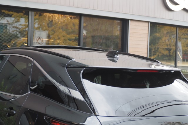 レクサス:RX/ガソリン