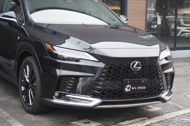 レクサス:RX/ガソリン