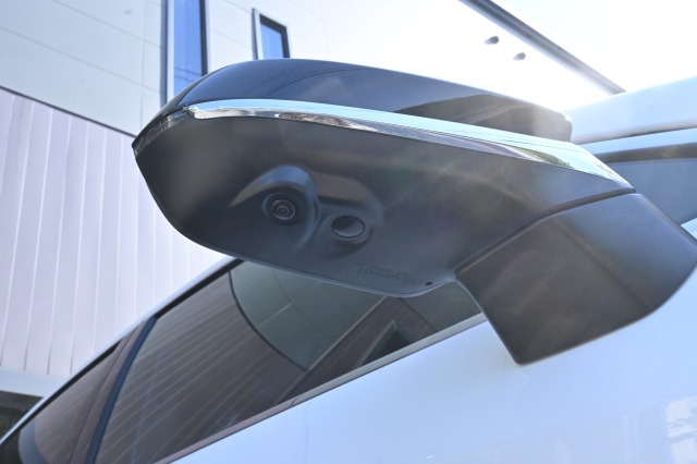 レクサス:RX/ガソリン