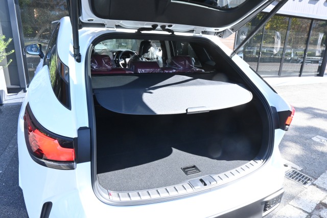 レクサス:RX/ガソリン