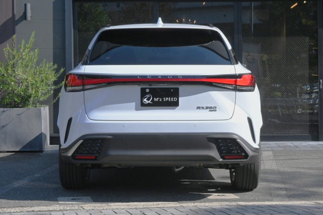 レクサス:RX/ガソリン